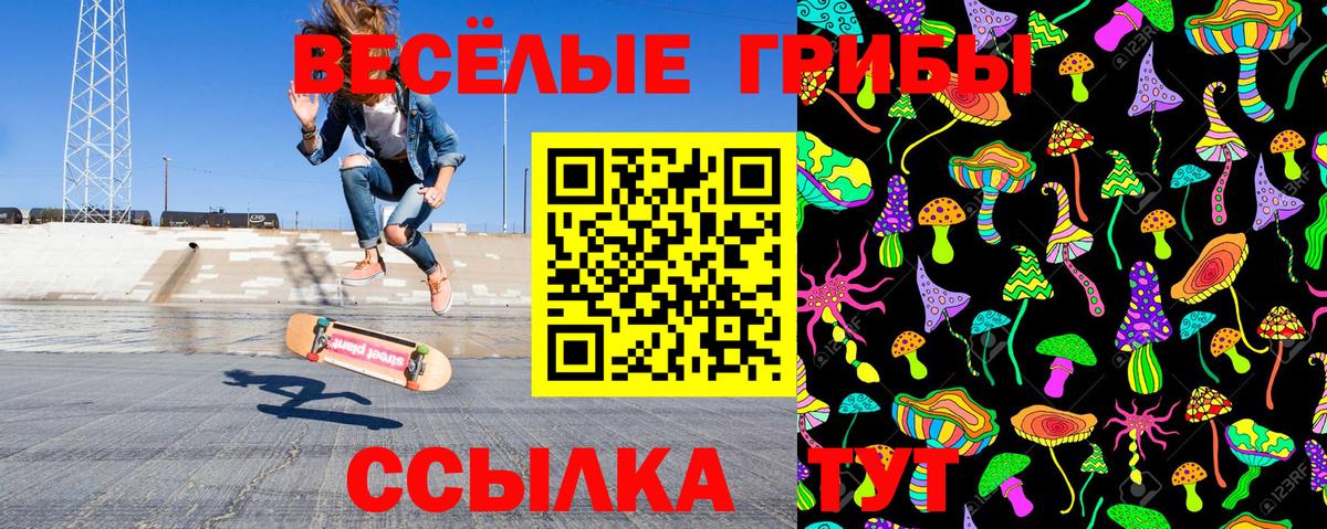 Галлюциногенные грибы MAGIC MUSHROOMS  Псилоцибиновые грибы Cubensis  Вход с VPN  купить наркоту  Кыштым 