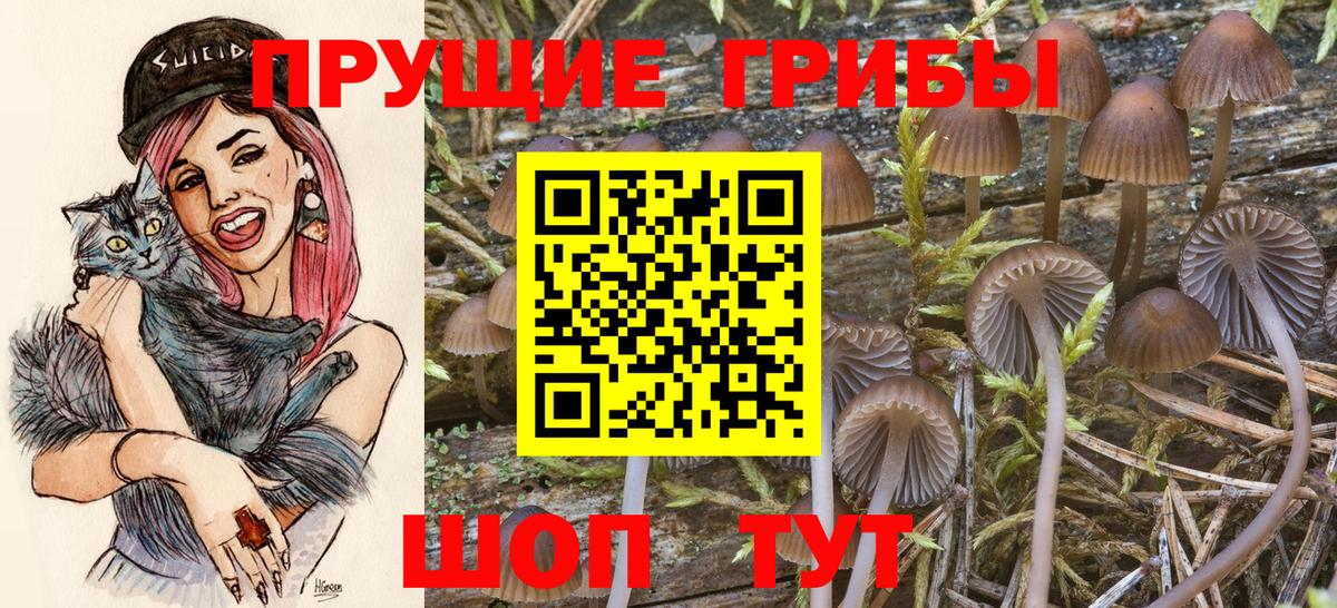 Псилоцибиновые грибы мицелий Кыштым